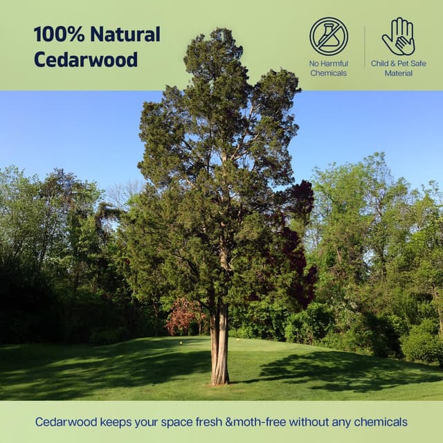 Detalle de Pack of 8 Cedarwood hanging moth repellent blocks for wardrobes and drawers