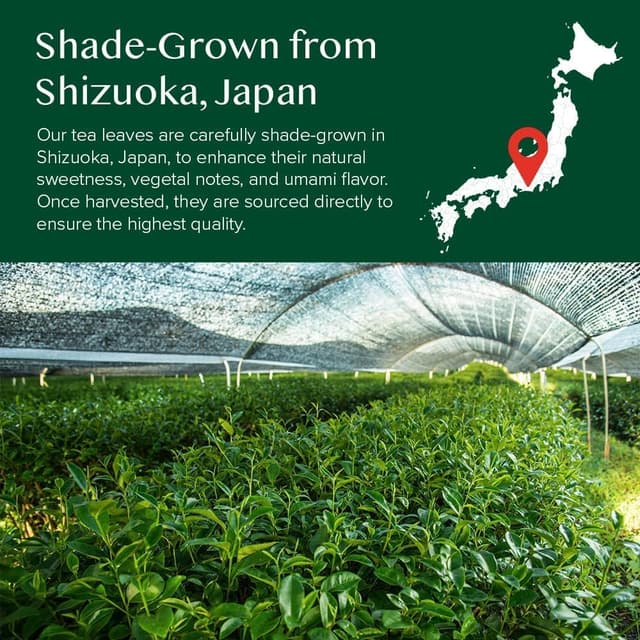 Detalle 2 de VAHDAM Té Matcha Verde en Polvo 🌿 100g, Para Postres y Batidos