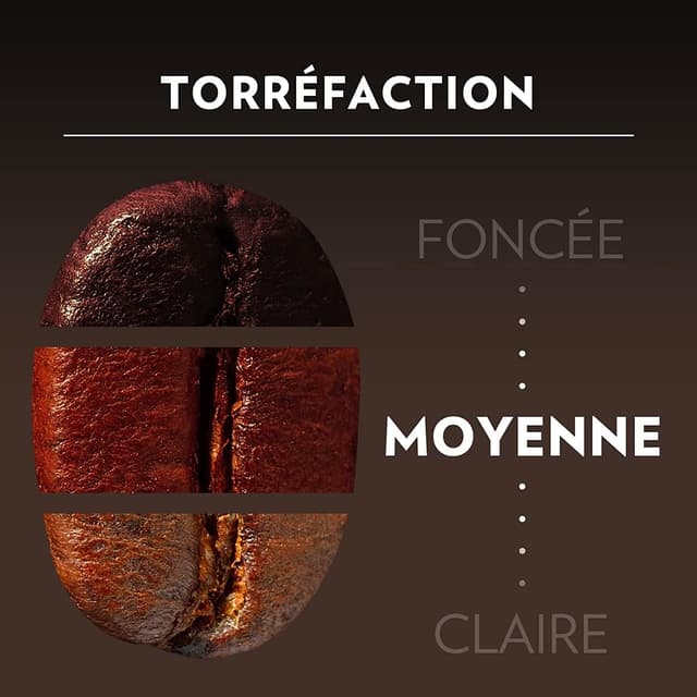 Thumbnail 5 de Lavazza Espresso Barista Perfetto café en grains