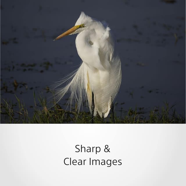 Detalle 2 de Sony SEL70350G 70–350mm OSS