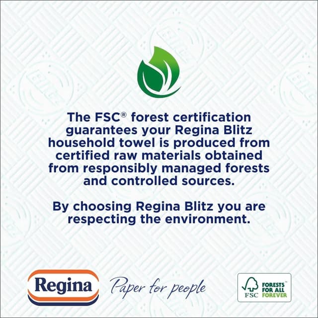 Thumbnail 5 de Regina Blitz Household Towels 12 Rolls