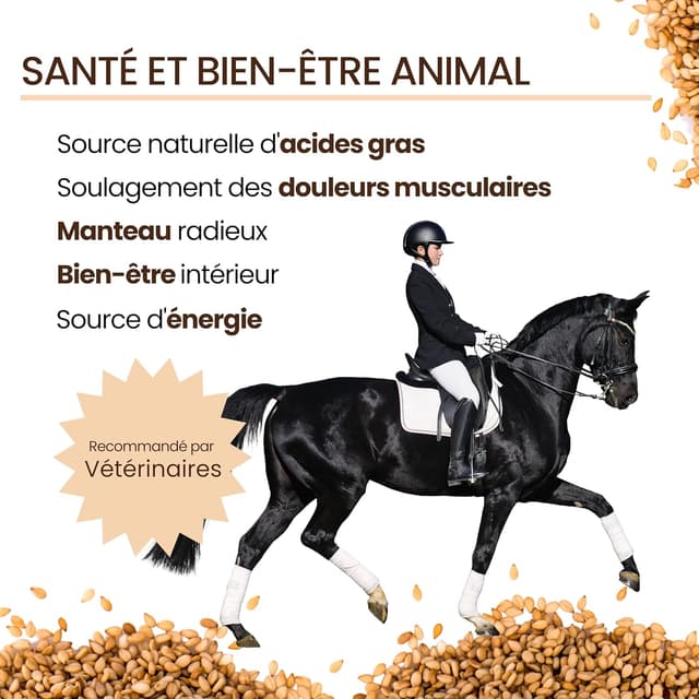 Thumbnail 4 de bleu & marine Huile de Lin 5000 ml 🐾