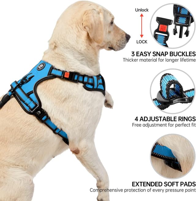 Thumbnail 4 de NESTROAD Blue Anti Pull Dog Harness with Lead, M