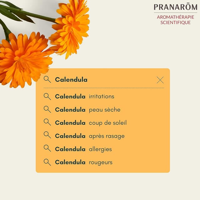 Thumbnail 4 de PRANAROM - Aceite de Nuez de Albaricoque Bio 🌱 50ml