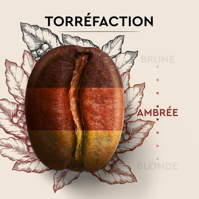 Thumbnail 5 de Carte Noire Café en grains 500 g