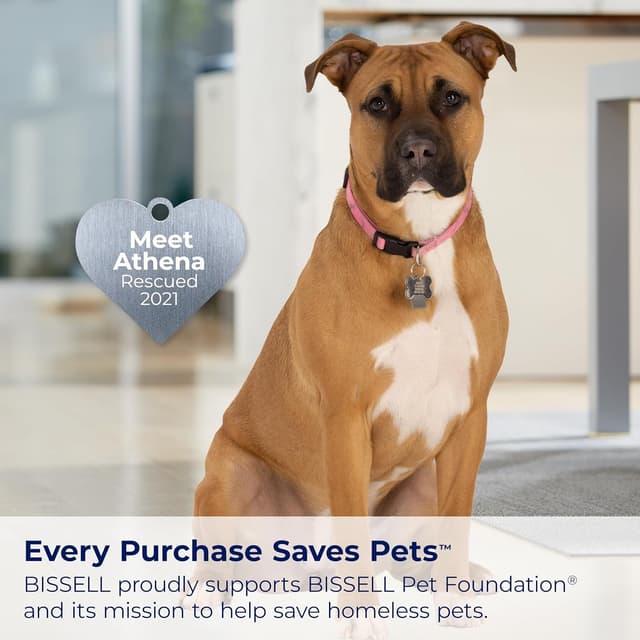 Thumbnail 6 de BISSELL TurboClean Pet XL Upright Carpet Cleaner