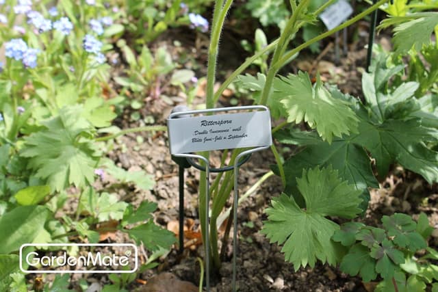 Thumbnail 4 de GardenMate étiquettes plantes métal 25