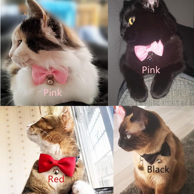 Thumbnail 1 de Olahibi Breakaway Cat Collar Red S