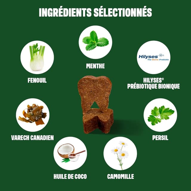 Detalle 2 de ivvi Dental Care Snacks d’hygiène dentaire pour chiens – Menthe, Persil, Fenouil, Camomille, huile de coco et algues brunes (60 snacks)