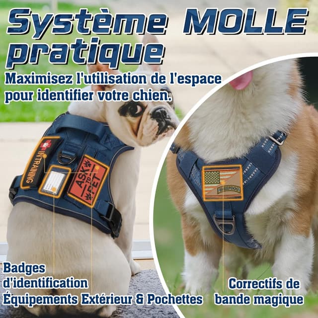 Thumbnail 2 de rabbitgoo Harnais Chien Anti Traction M