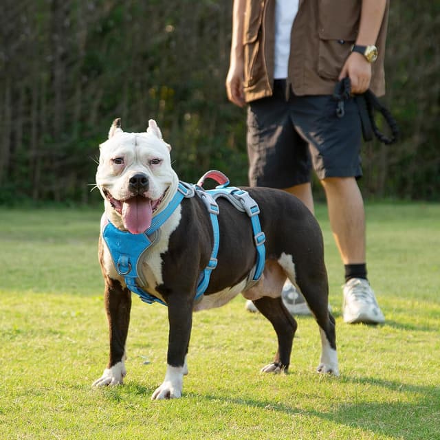 Thumbnail 6 de Huntboo Escape Proof Dog Harness (Medium) – Anti-Pull Reflective Dog Harness with Handle, Breathable & Adjustable (Blue, S)