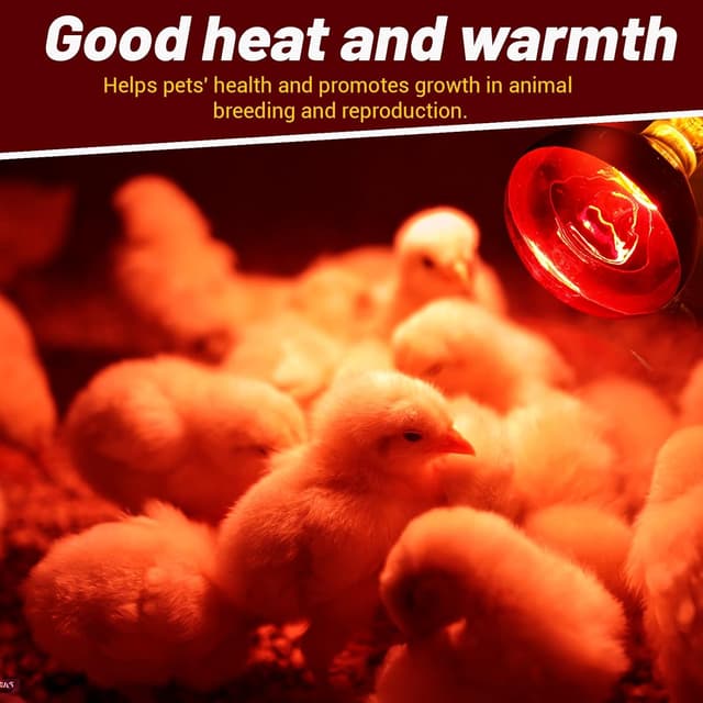 Thumbnail 3 de E27 R125 Infrarotlampe 250W Wärmelampe