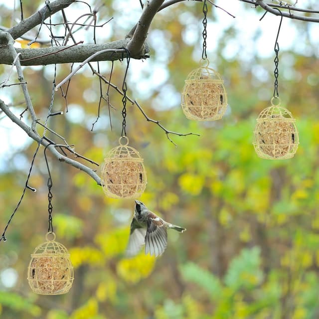 Detalle 2 de Fat ball bird feeders 4 pack metal