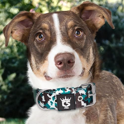 Detalle 2 de TSPRO Collar Táctico 3,8 cm para perros