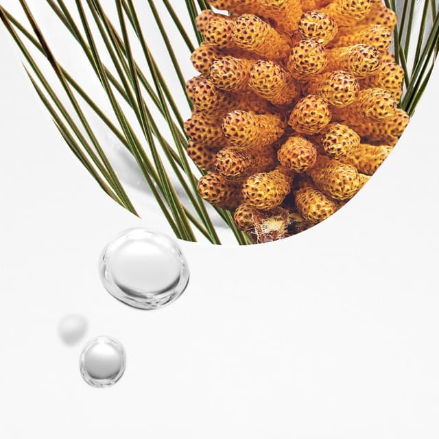 Thumbnail 2 de KORRES Black Pine Primus 6 volte ialuronico siero anti-età senza siliconi e parabeni, vegan 30 ml