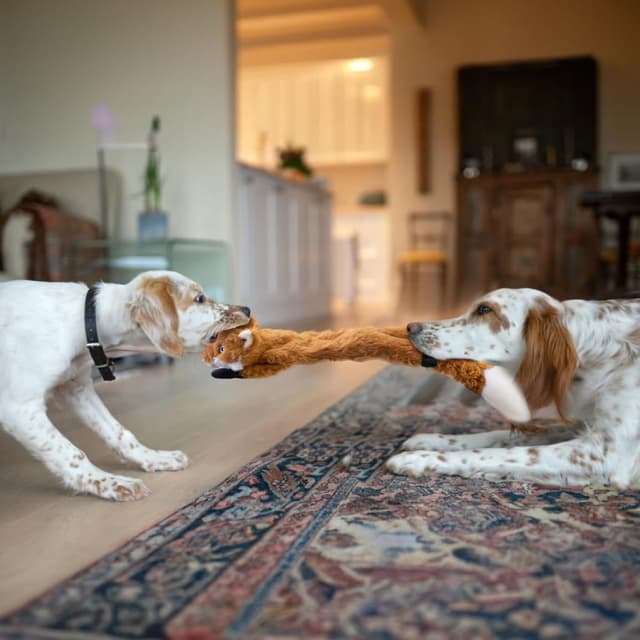 Thumbnail 6 de SHARLOVY Dog Squeaky Toys No Stuffing 3 Pack Plush (crinkle + squeak, no stuffing)