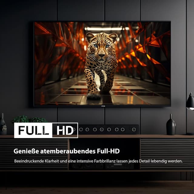 Thumbnail 2 de DYON ULTIMAX 43F-TI Full‑HD TV