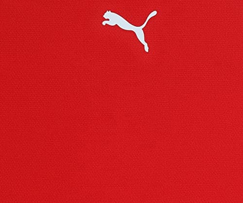 Detalle 1 de PUMA teamRISE Jersey Jr en rojo/negro/blanco (152) con tecnología dryCELL