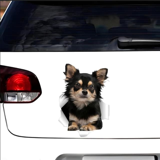Thumbnail 5 de Chihuahua Auto-Aufkleber 22 cm 3D Durchbruch-Effekt