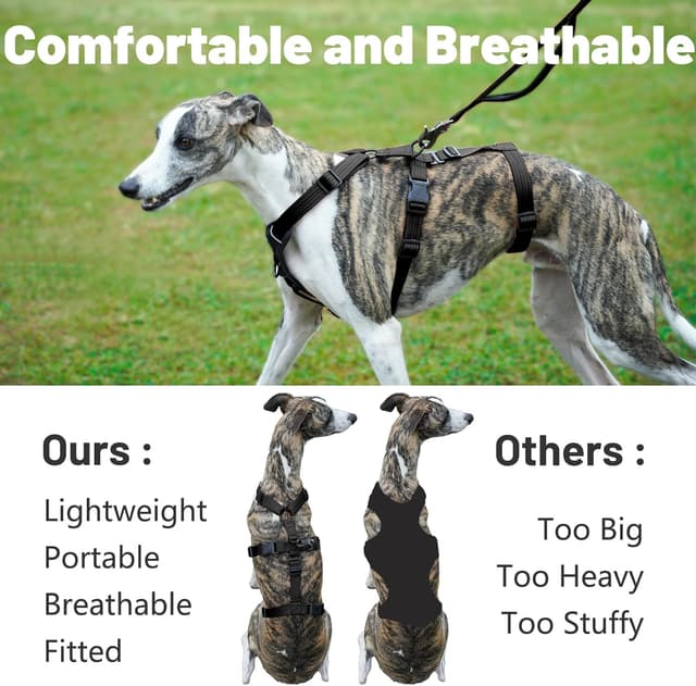 Detalle de Paworld Escape Proof Harness for 3-point fit