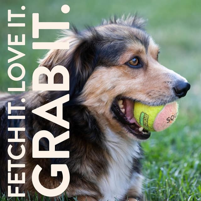 Detalle de SPORTSPET Squeak Tennis Balls for Dogs (12-pack, 64mm) – extra bouncy, floats, non-toxic