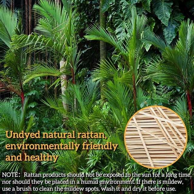 Thumbnail 3 de Clheatky Gärkörbchen Oval 25x15x8 cm