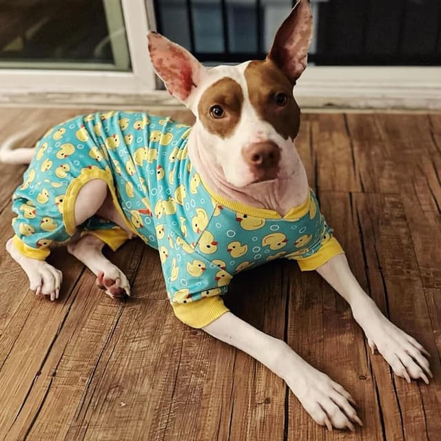 Detalle 2 de KYEESE Velvet Dog Pajamas Onesie (Yellow Duck Print) – 2XL