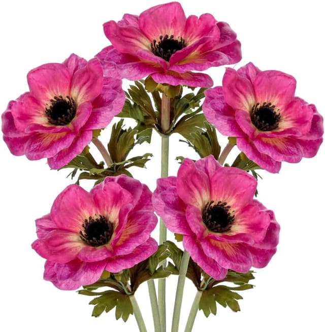 Thumbnail 6 de Briful 5er Set Anemonen Kunstblumen, 53 cm