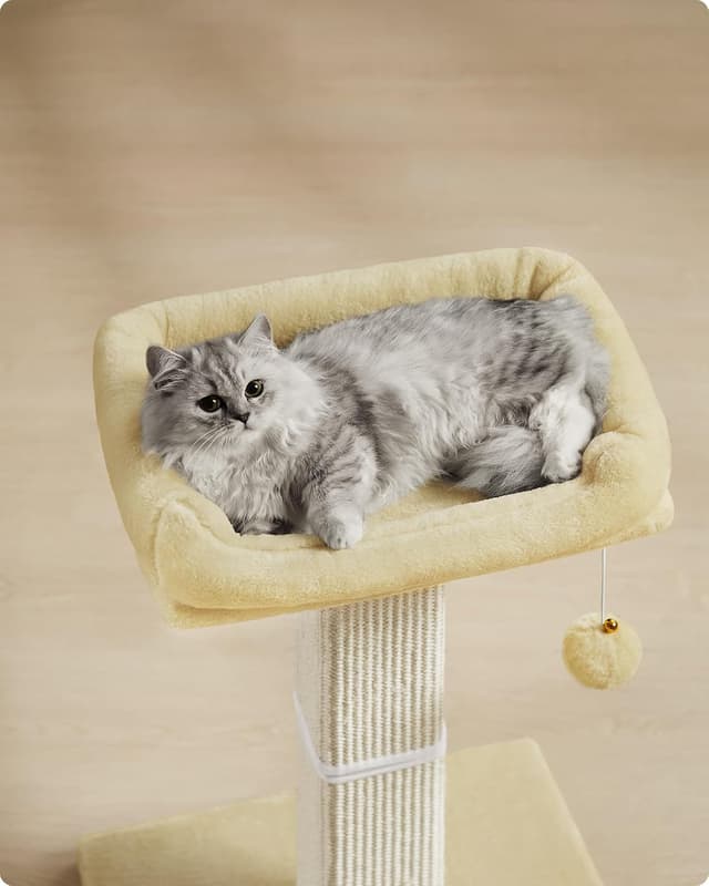 Thumbnail 2 de Feandrea Kratzbaum PCA022M01