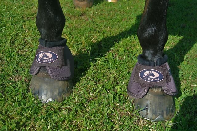 Detalle 2 de Ruggles No Turn Over Reach Boots Medium for Horses 🐴