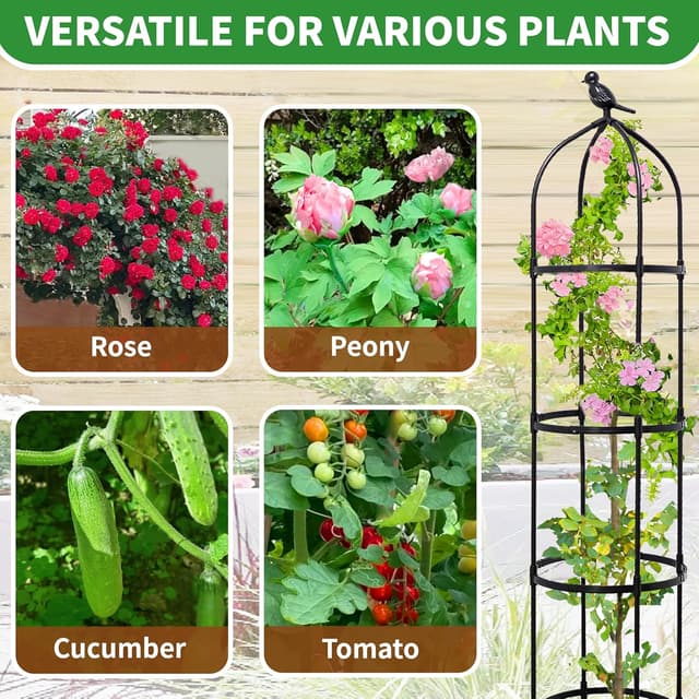 Thumbnail 6 de Garden Obelisks for Climbing Plants 175cm Metal Trellis with Adjustable 4-Ring Height
