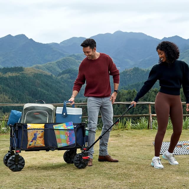 Detalle de Portal Beach Trolley on Wheels with Brakes – All-terrain folding beach wagon (up to 110kg)