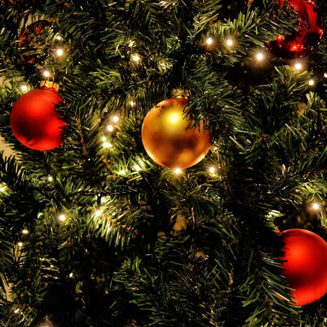 Detalle 2 de SALCAR Luci Albero di Natale con anello, 0,6 m, 8 fili LED e 8 modalità, bianco caldo (IP44)