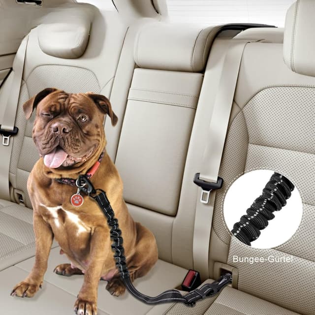 Detalle 1 de EASERIA Hunde Sicherheitsgurt 53-72-91 cm