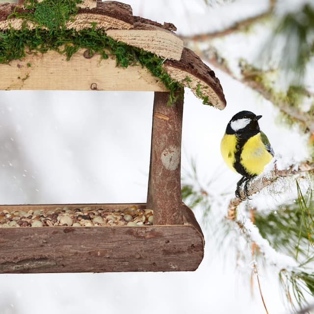 Thumbnail 4 de Relaxdays Mangeoire pour Oiseaux en Bois