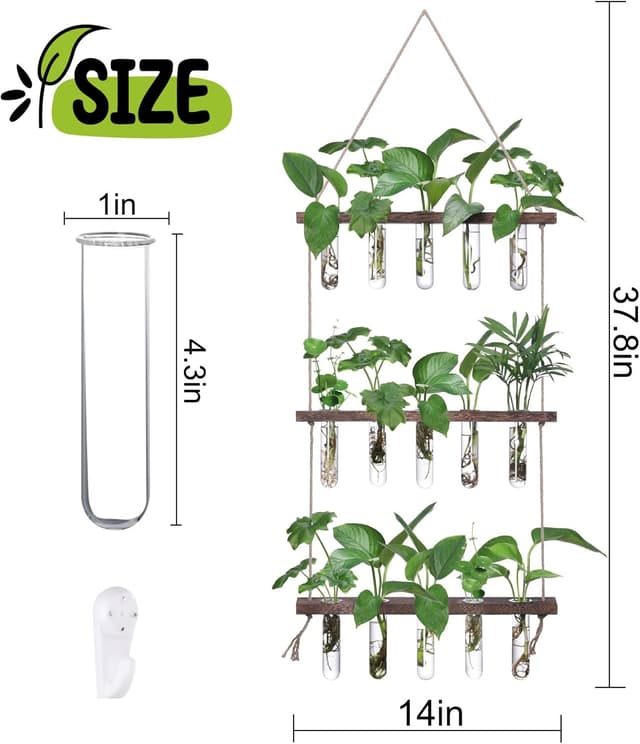 Detalle 2 de XXXFLOWER Wall Hanging Propagation Station 15 test tubes