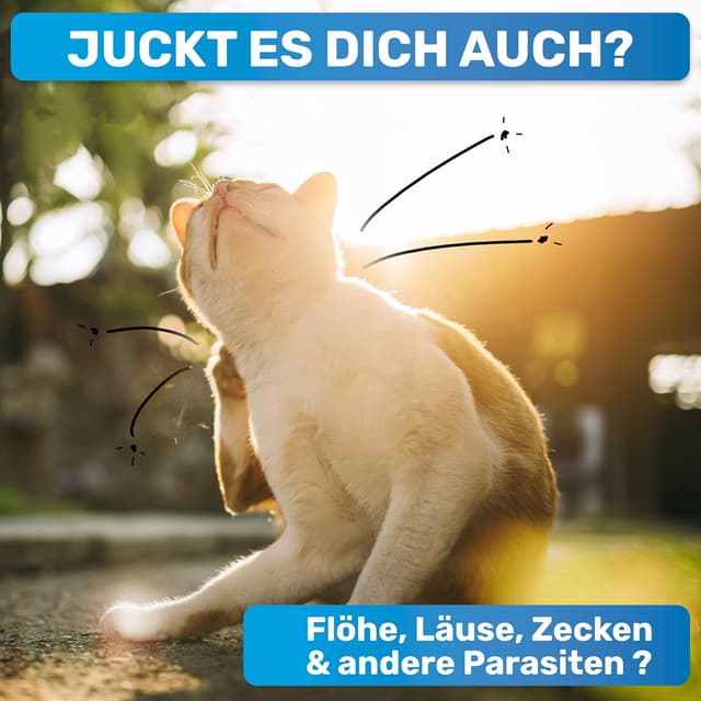 Detalle 2 de BluePet Robuster Flohkamm & Läusekamm für Hunde & Katzen – robuster Kamm mit abgerundeten Zinken (Floh-, Läuse- und Nissenkamm)