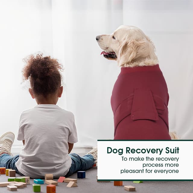 Detalle de Kuoser Hundebody nach OP – OP-Body als Anti-Leckschutz nach Kastration, dunkelrot, Größe XS