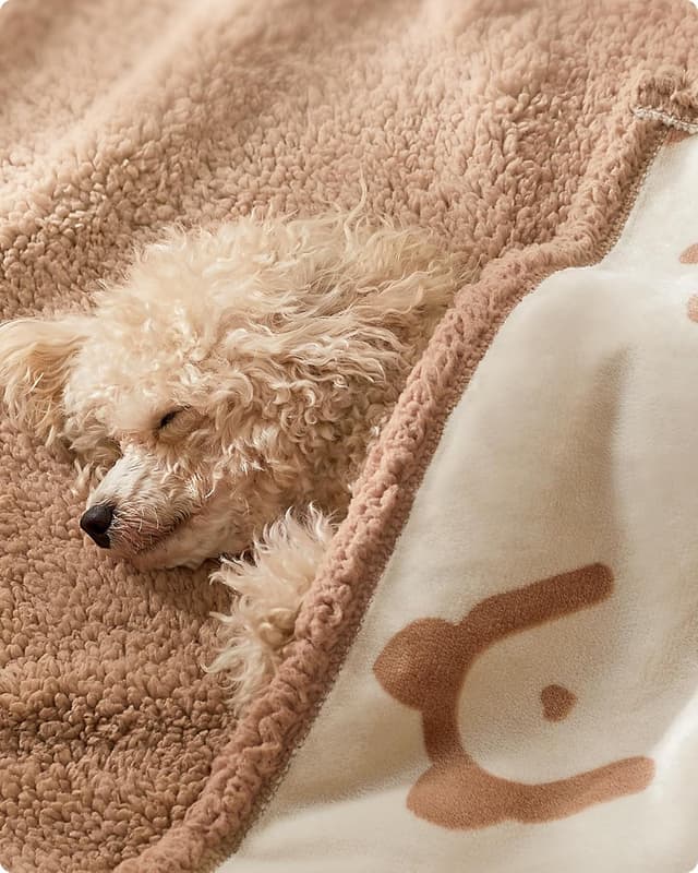 Detalle 2 de Feandrea PPB029K01 Waterproof Dog Blanket 73 x 63 cm