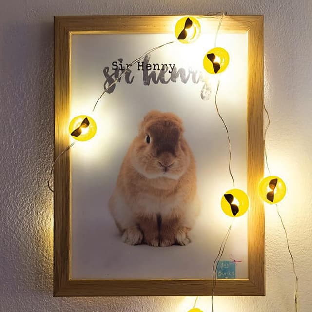 Detalle de hellum LED Kupfer-Lichterkette „Cool-Emoji“ (10 warmweiße LEDs, 90 cm, batteriebetrieben mit 2 AA)