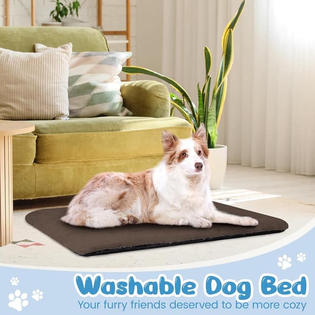 Thumbnail 6 de BaoDan Cuccia Cane Interno Taglia Grande 106x71 cm con base antiscivolo, cuscino morbido lavabile (marrone)