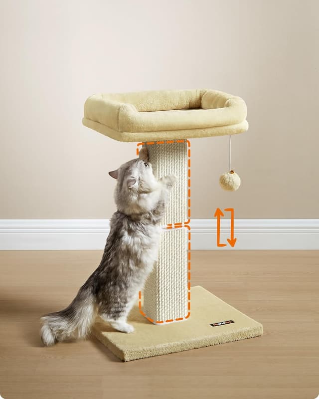 Thumbnail 3 de Feandrea Kratzbaum PCA022M01