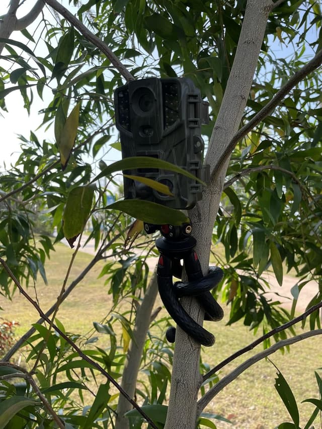 Detalle 2 de Lammcou Wildkamera Stativ Mini 11,02 Zoll