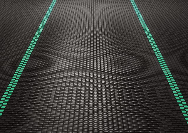 Thumbnail 6 de GardenMate Telo da giardino 2m x 5m 100g/m2