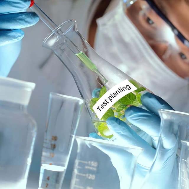 Detalle 2 de Upwinning kompatible Brother P-touch TZe-231 Schriftbandkassette 12 mm schwarz auf weiß (8 m) im 10er-Pack