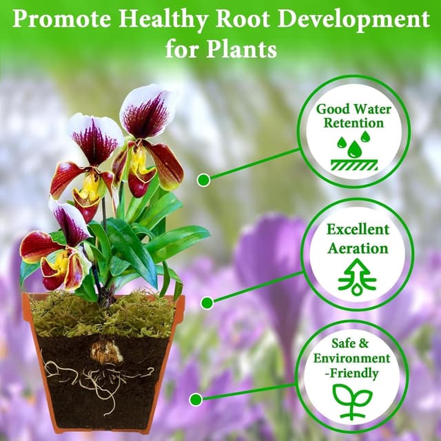 Detalle de Halatool Sphagnum Moos 230 g für Pflanzen – naturbelassenes Moos für Orchideen, Terrarien & Umtopfen