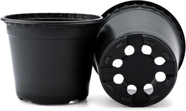 Detalle 2 de KINGLAKE 50 black 10cm plastic plant pots + 100 white plant labels set for seedlings and cuttings