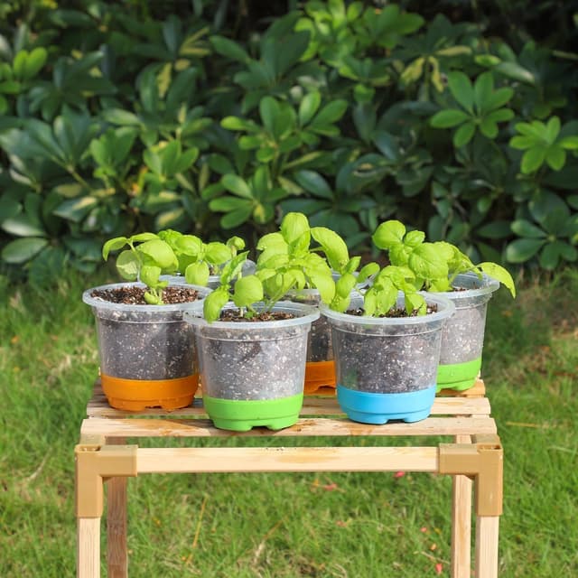 Thumbnail 6 de MIXC Anzuchttöpfe 24 Stück 10 cm Transparent