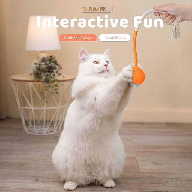 Thumbnail 6 de winbarry Cat Toys catnip chew toy for kittens 🐱