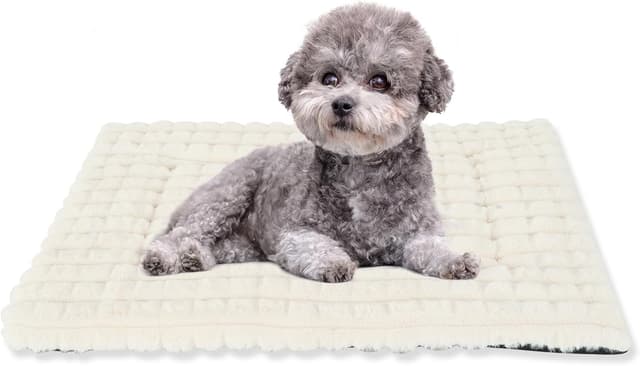 Detalle de BVAGSS Flauschiges orthopädisches Hundebett XH082 (75x50 cm, weiß) – waschbar & rutschfest